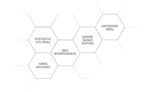 77005-D_RNA-Therapeutics_LP-Services-Chart