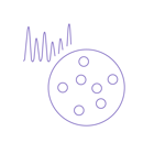 Bacterial Colony Purple