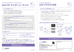 GA GS_AAV-ITR_AzentaJP