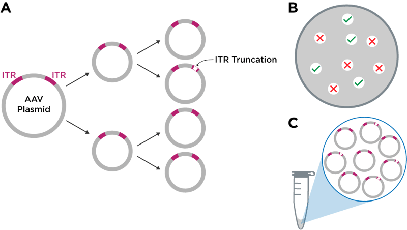 ITR-truncation4