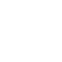 13029-D_Expertise_Icon 13029-D_Expertise_Icon