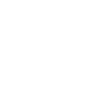 13029-D_Optimization_Icon 13029-D_Optimization_Icon