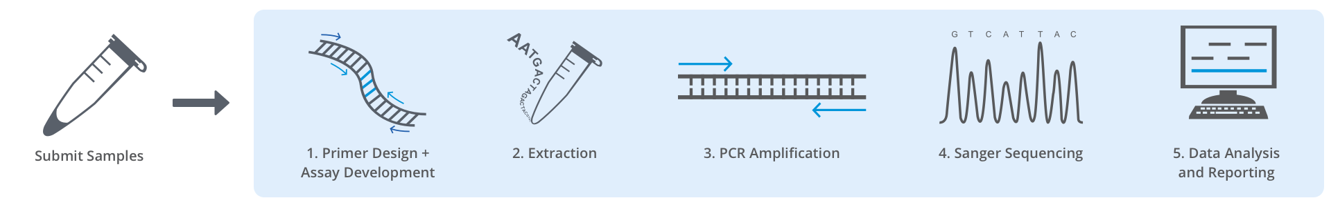 MolGen_ConfirmData_LP_Workflow_Oct21_2020 MolGen_ConfirmData_LP_Workflow_Oct21_2020