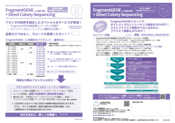 GA-FG+DCS-Camp_AzentaJP