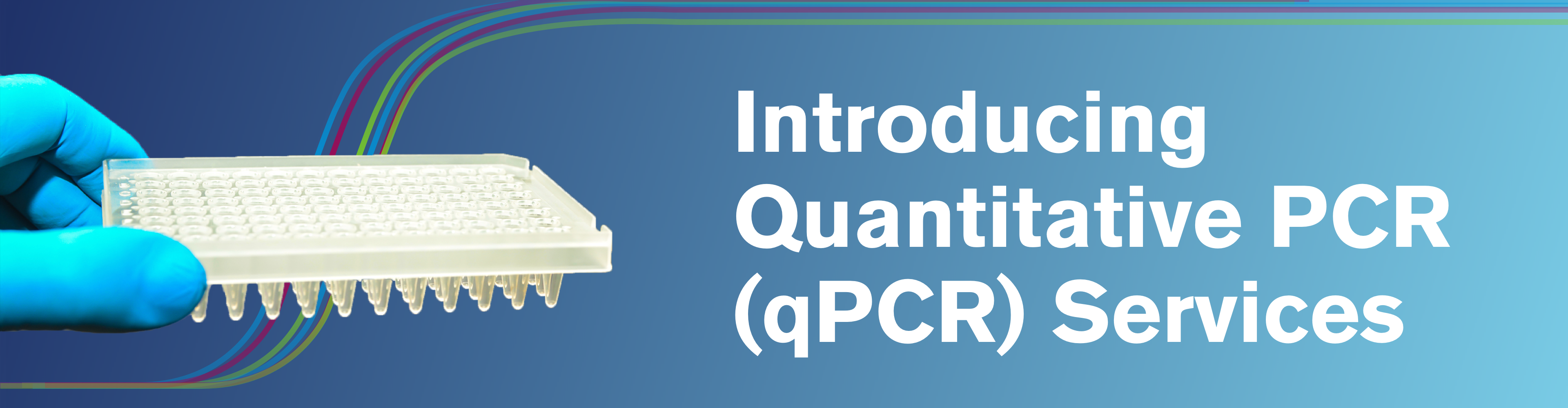 NGS Quantitative PCR